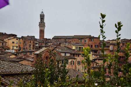 Magical Tuscany - Siena, Lucca & San Gimignano